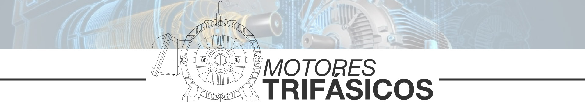 Motores Trifásicos Eléctricos